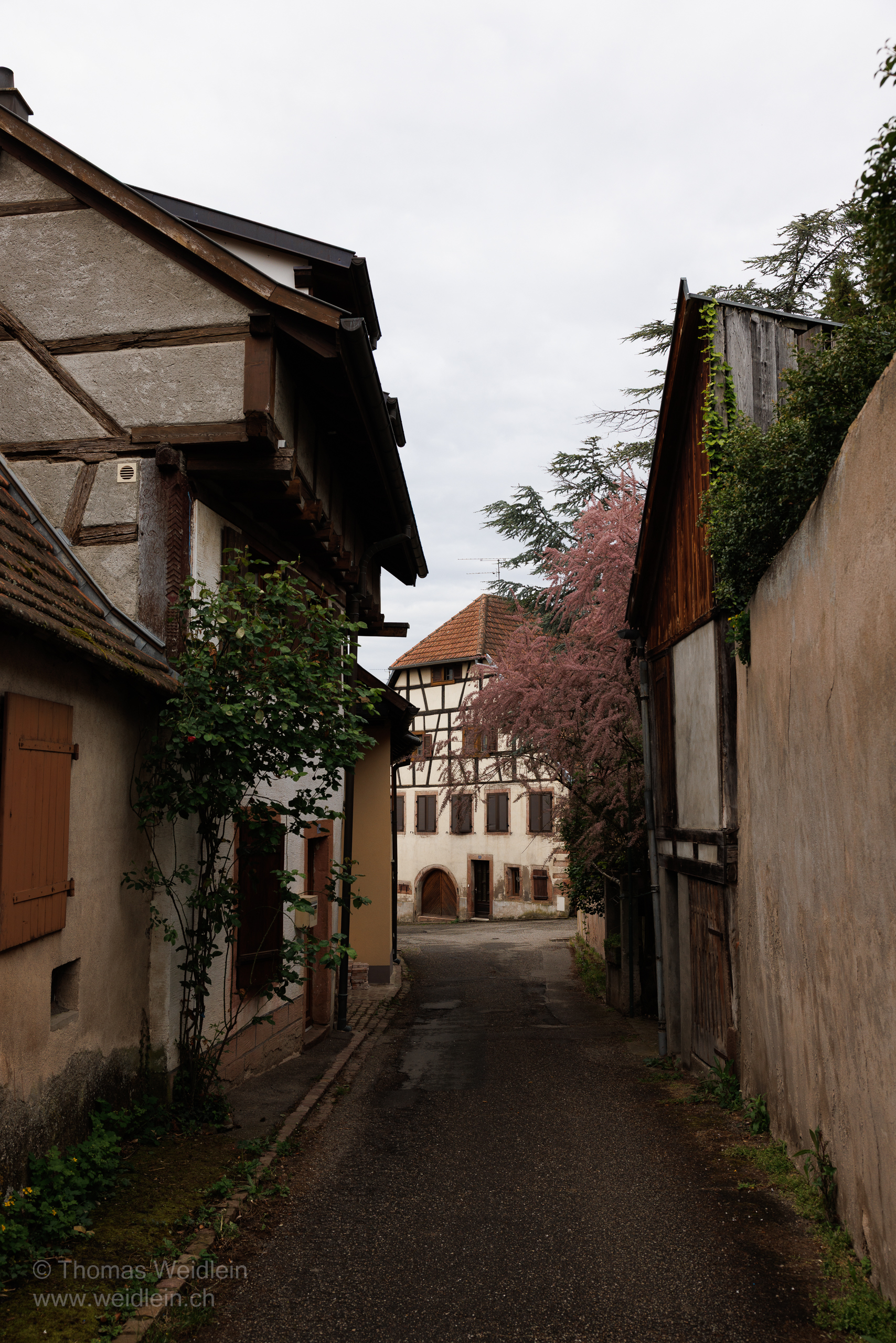 Saint Hippolyte 1